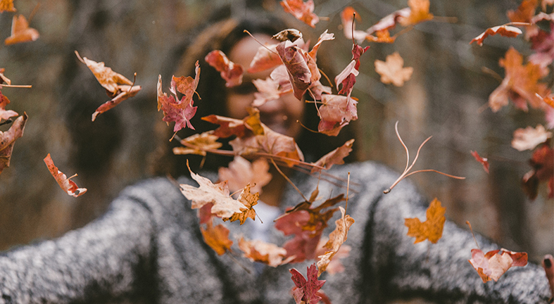 Préparez-vous pour les appels d'offres pour l'automne et l'hiver