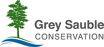 Logo de l’organisation Grey Sauble Conservation 